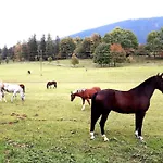 Casalucia * بوتشبرغ ام شنيبرغ