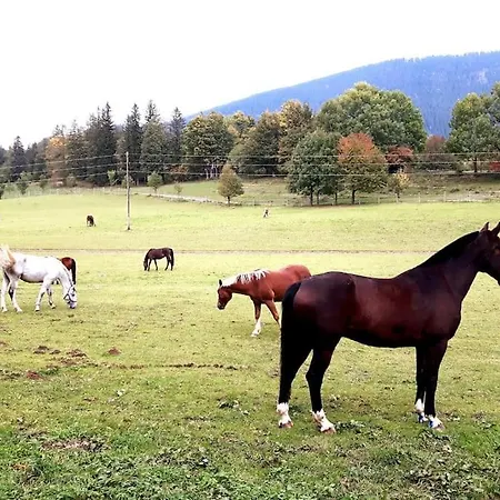 Casalucia * Puchberg am Schneeberg