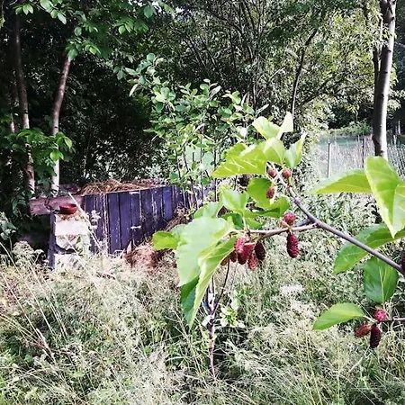 Casalucia - Hometel Holiday home Puchberg am Schneeberg