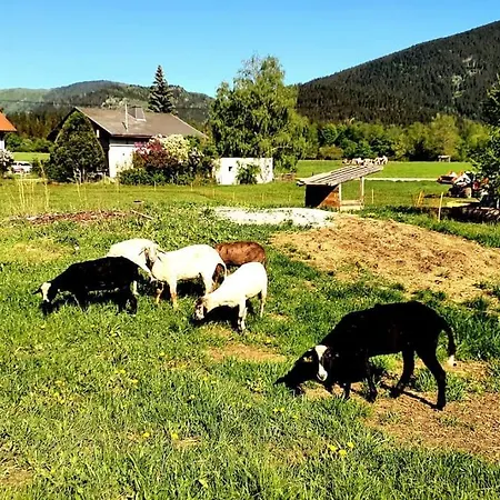 Semesterbostad Casalucia Puchberg am Schneeberg