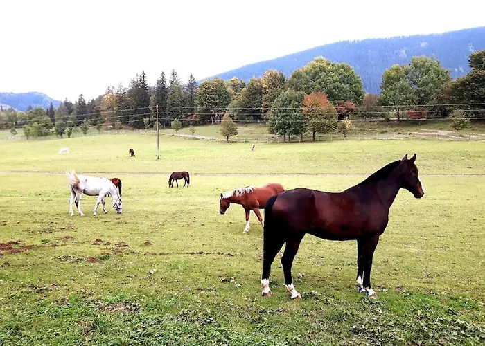 Casalucía - Hometel * Puchberg am Schneeberg