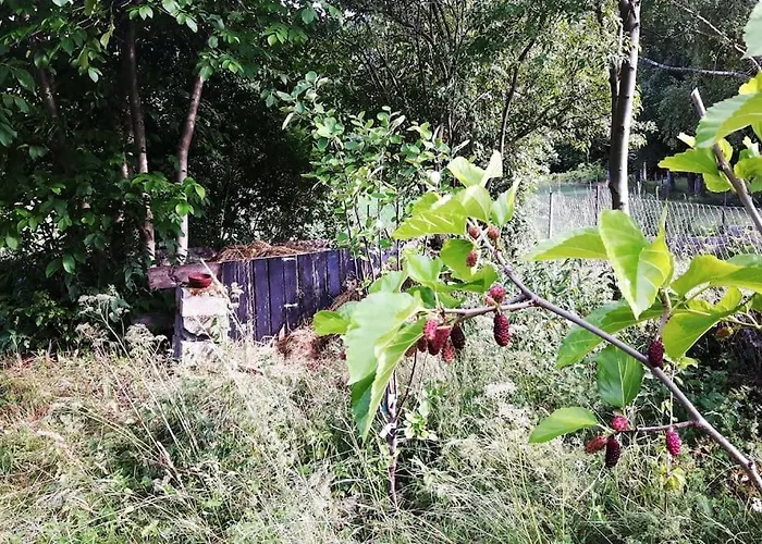 Casalucía - Hometel Casa de Férias Puchberg am Schneeberg