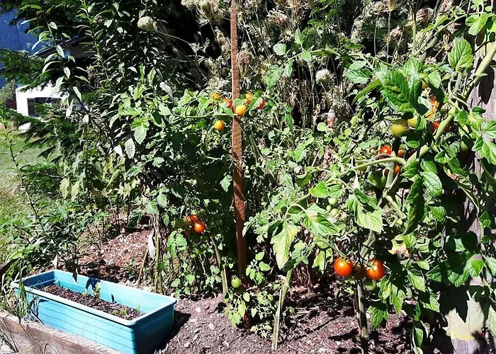 Casalucía - Hometel *