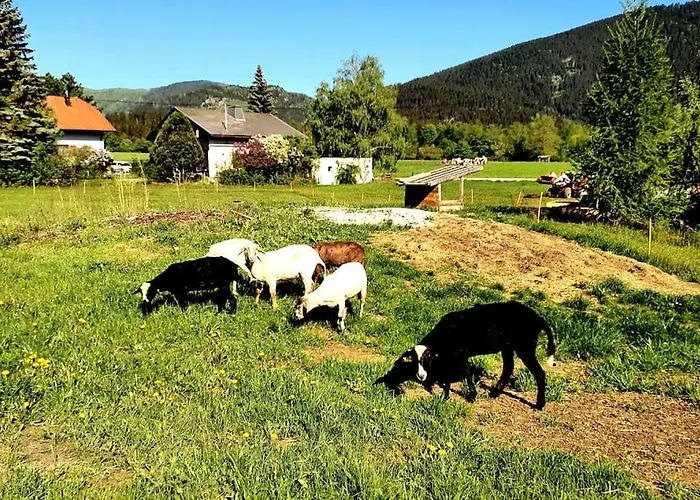 Casa de Férias Casalucía - Hometel Puchberg am Schneeberg